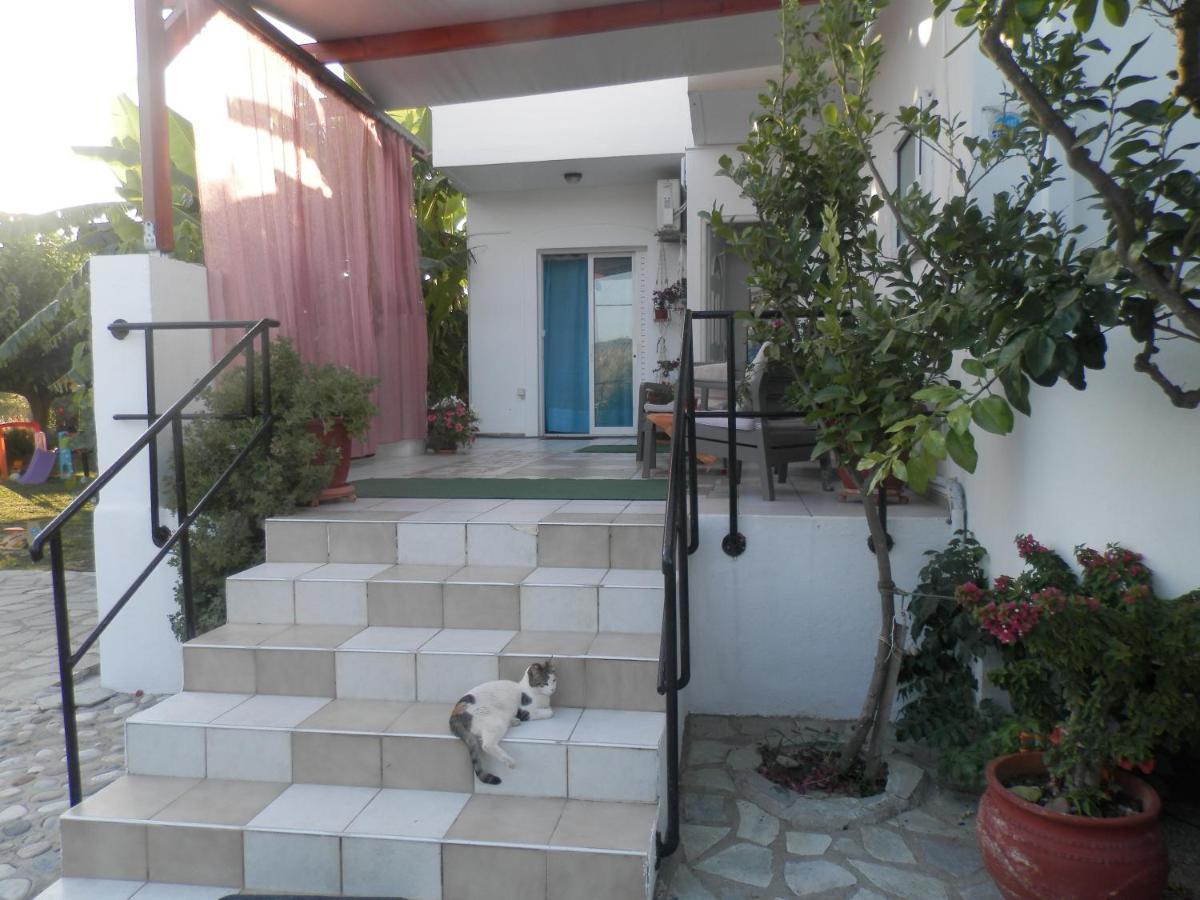 פלטאנס Silvi Mari Apartments מראה חיצוני תמונה