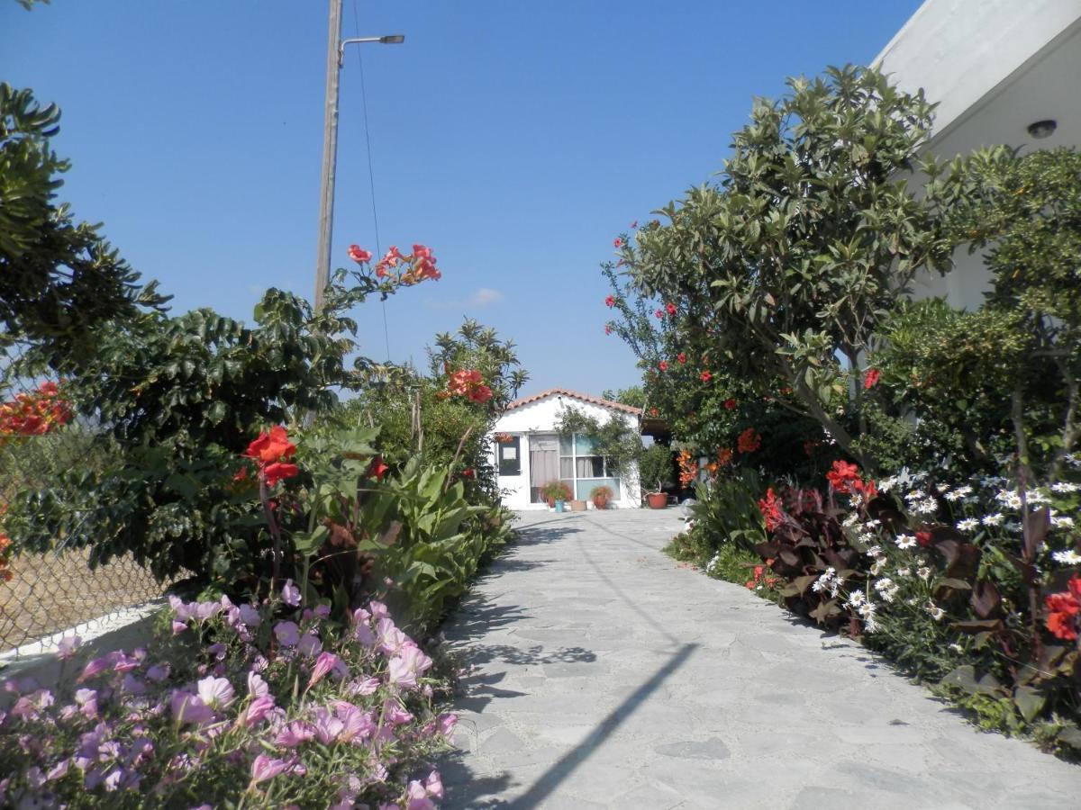 פלטאנס Silvi Mari Apartments מראה חיצוני תמונה