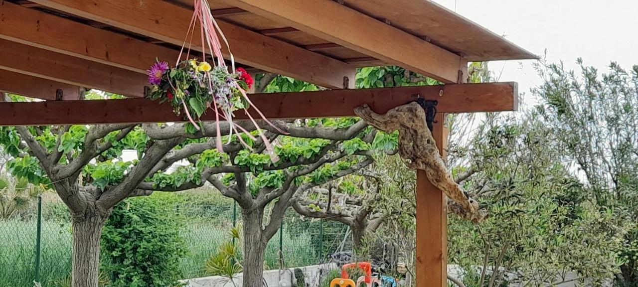 פלטאנס Silvi Mari Apartments מראה חיצוני תמונה