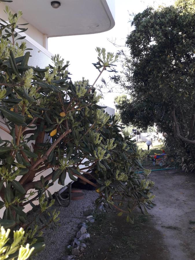 פלטאנס Silvi Mari Apartments מראה חיצוני תמונה