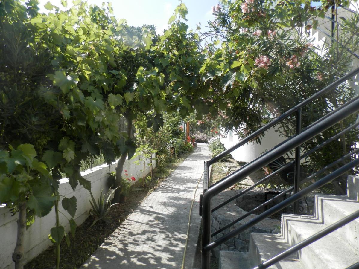 פלטאנס Silvi Mari Apartments מראה חיצוני תמונה