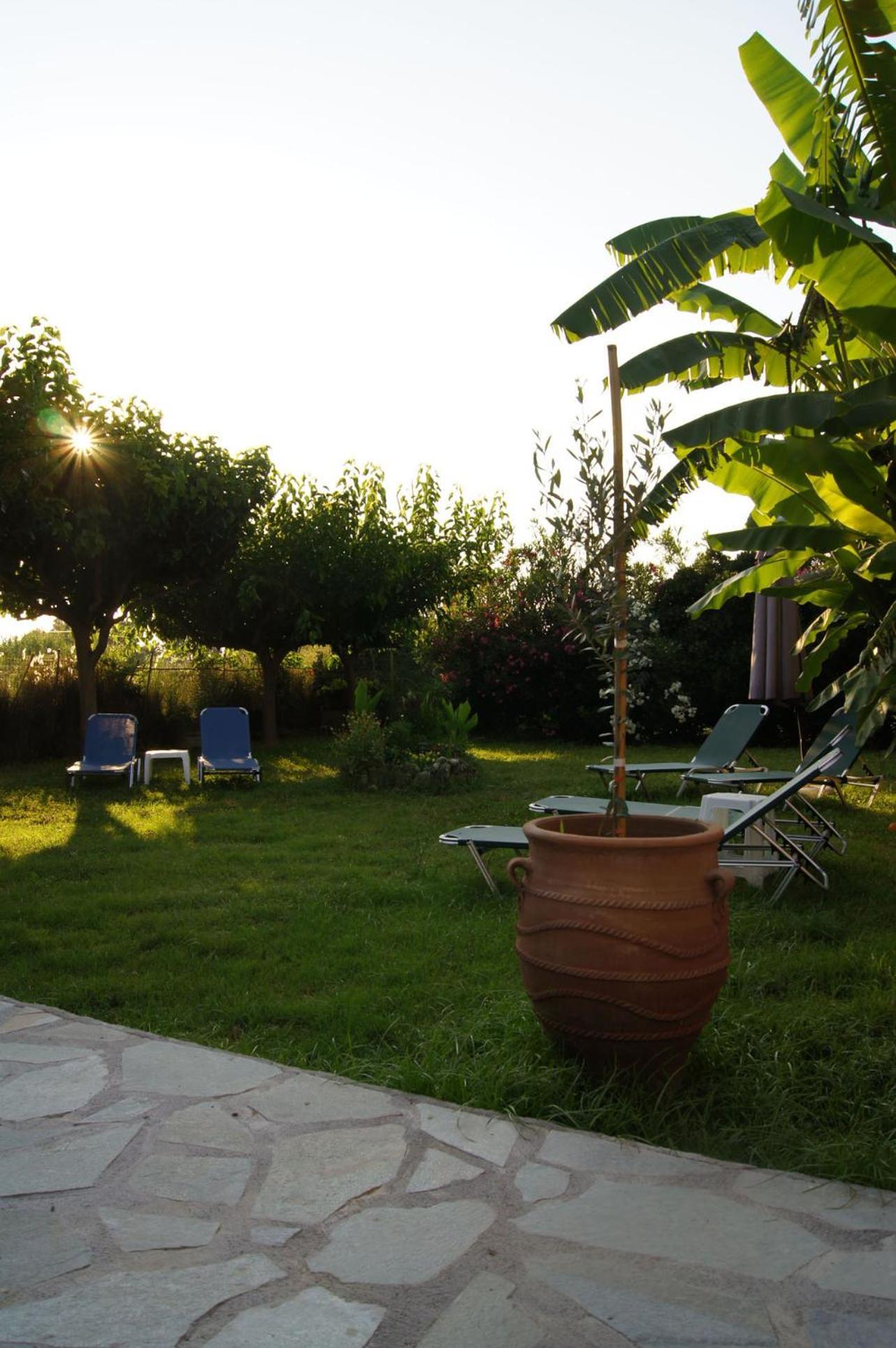פלטאנס Silvi Mari Apartments מראה חיצוני תמונה