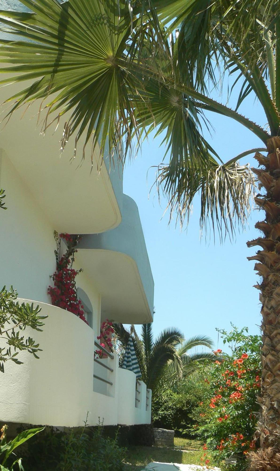 פלטאנס Silvi Mari Apartments מראה חיצוני תמונה